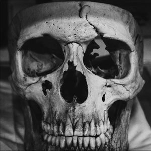 Meet your Posher, Ian